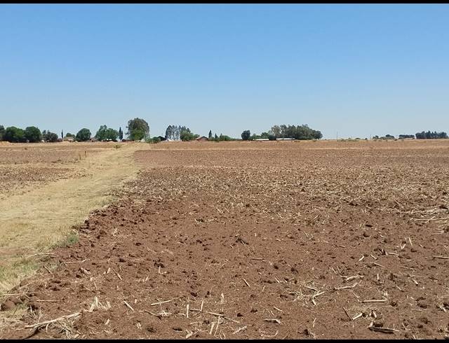 20.20HA VACANT LAND FOR SALE IN CHRISSIEFONTEIN